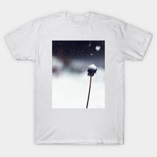 Winter dandelion T-Shirt